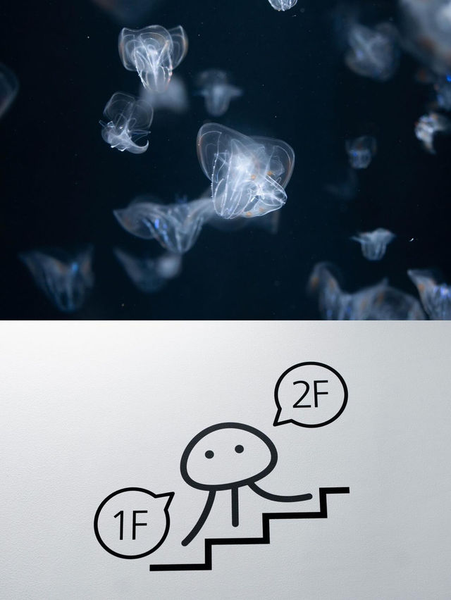 【山形】クラゲ大水槽が幻想的な水族館
