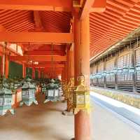 奈良°ㅣ原始森林中的千年神社ㅣ被鹿包圍的春日大社