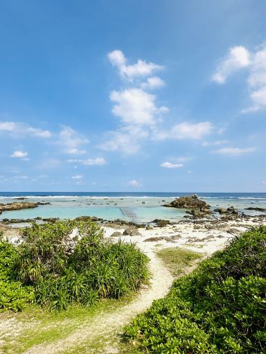 奄美大島】あやまる岬観光公園 | Trip.com 奄美