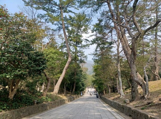 【出雲大社:島根県出雲市】縁結びのご利益で有名な出雲大社⛩️