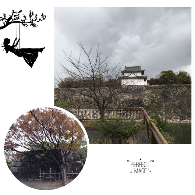 一場大雨嘅偶遇：豐國神社