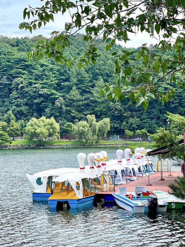 제천 뷰맛집에서 귀여운 오리배 타기💚