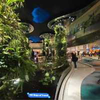 Exceptional Layover Experience: Singapore Changi Airport