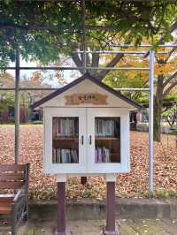 가을을 느끼기 좋은 야외 도서관 데이트🍂📚