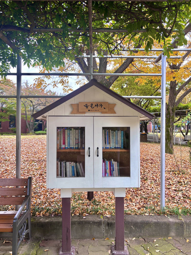 가을을 느끼기 좋은 야외 도서관 데이트🍂📚