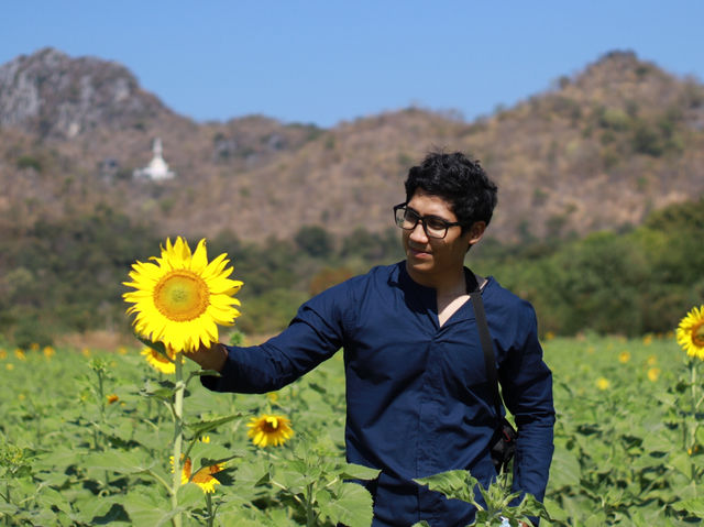 รีวิว ทุ่งทานตะวันที่เขาจีนแล จังหวัดลพบุรี 🌻