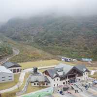 루프탑에서 바라보는 특별한 가을 단풍