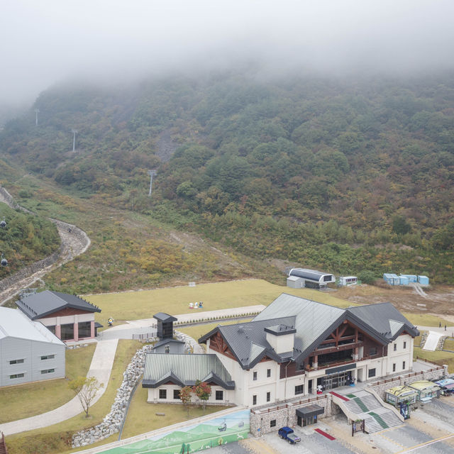 루프탑에서 바라보는 특별한 가을 단풍