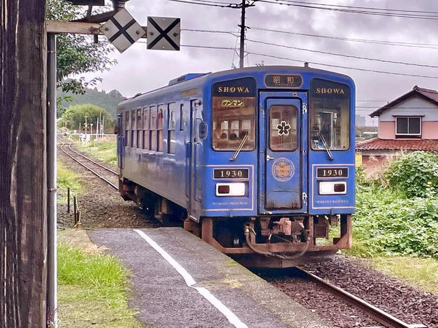 日本鳥取「若櫻鐵道」🚞