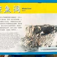 鯨魚洞