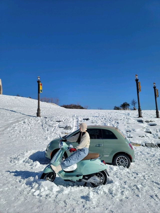 이국적 설경 가득한 평창 데이트코스❄️