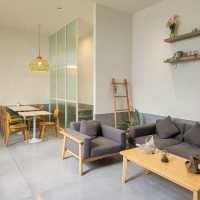 Pretty Start of the Day at Risu Cafe
