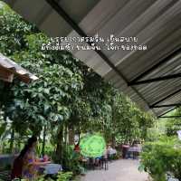 ร่มมังคุด  ตรัง