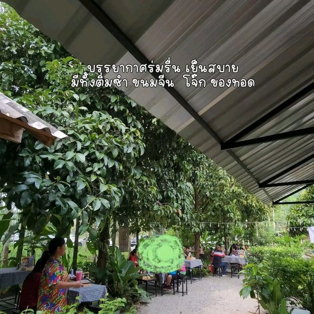 ร่มมังคุด  ตรัง