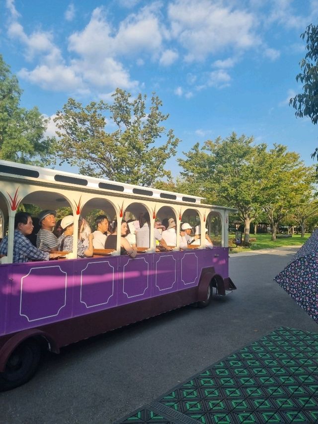 가을 나들이로 딱
