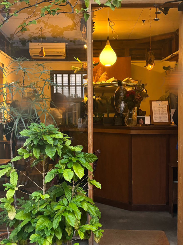 【福岡カフェ】秋だけの限定ドリンクがたまらないカフェ