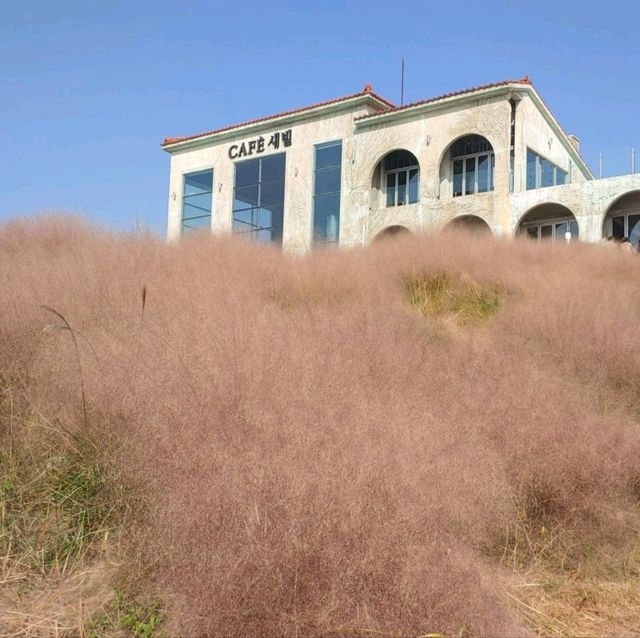 제주도의 새별오름을 올라보자!!!