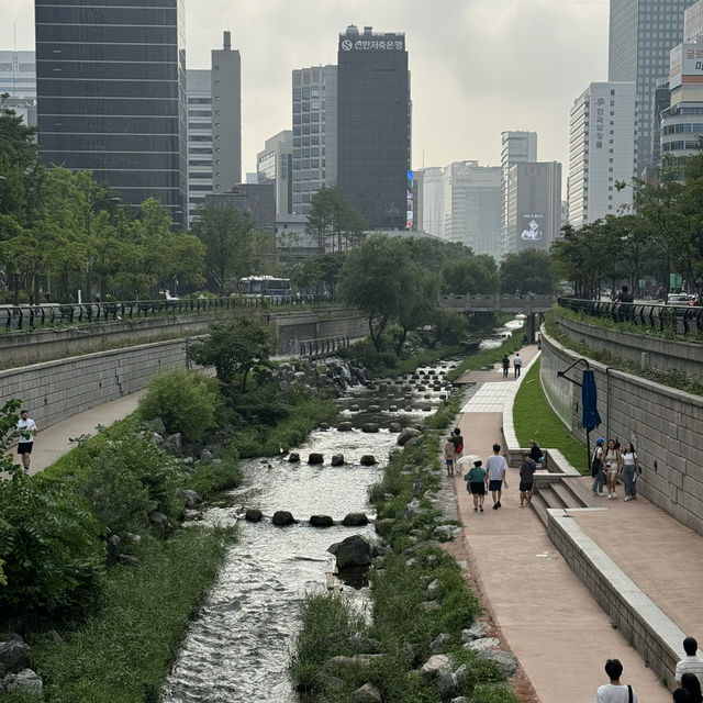 A Day Exploring Seoul Gyeongbokgung Palace, Bukchon Hanok Village and Cheonggyecheon Stream