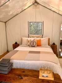A Solo Glamping Getaway at Honeybee Hideaway