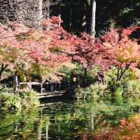  Monet's pond