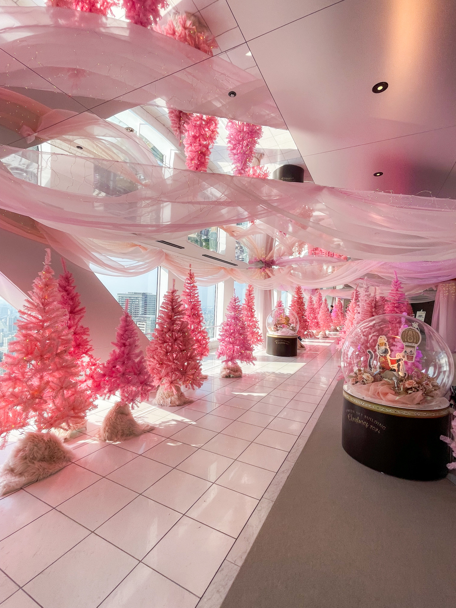 1mi6m224x8xpd7b697FD9.jpg?proc