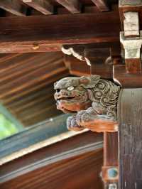 Osaka Castle: A Majestic Glimpse into Japan’s History