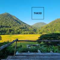 ลานกางเต้นท์ ธรรมชาติสุดๆ