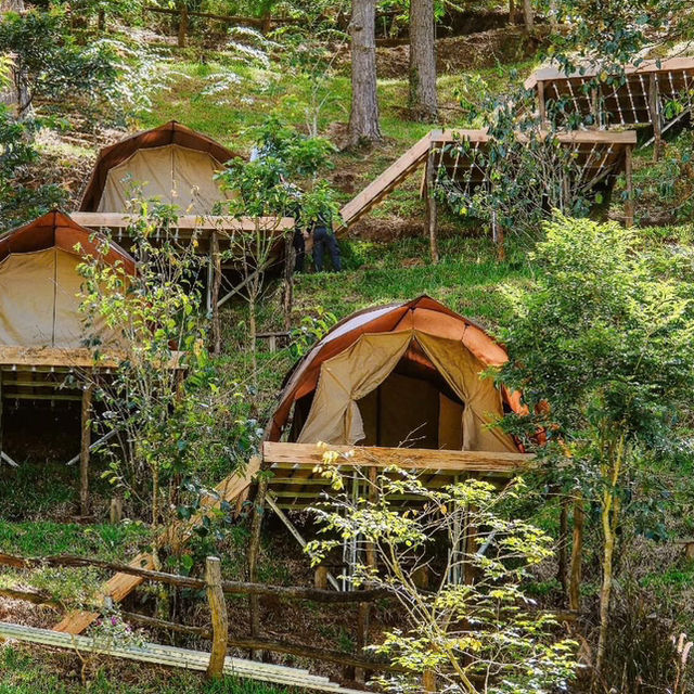 Camping in dalat city