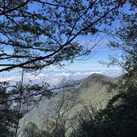 2024.11.30大雪山森林遊樂區