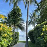 泰國蘇美島 peace resort