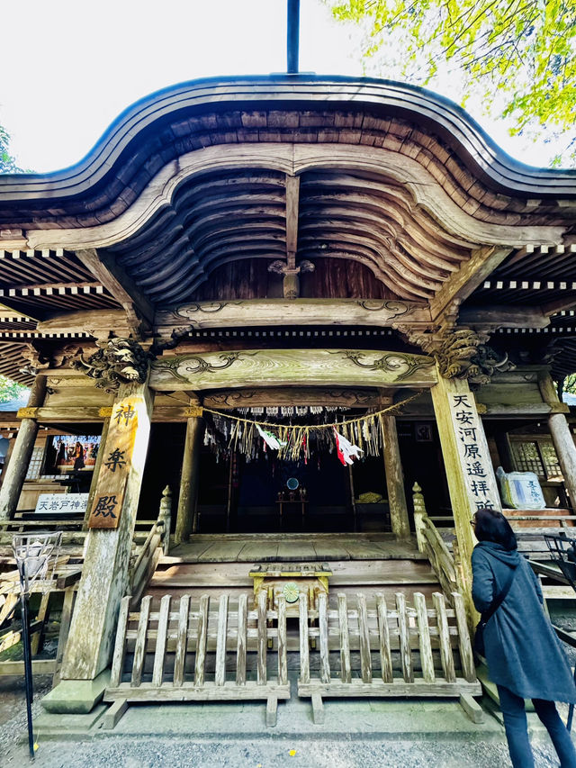 1 Day Power Spots Trip around Takachiho Gorge & Mount Aso