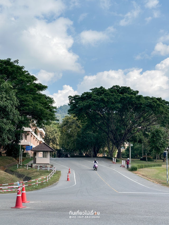 รีวิวมหาลัยแม่ฟ้าหลวง บรรยากาศดีมาก