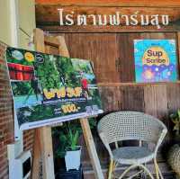 ไร่ตามฟาร์มสุข คาเฟ่จันทบุรี 🐴🐴🐴