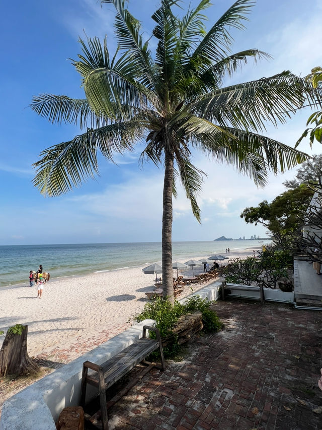 Drip Rim Lay  🌊🌴 คาเฟ่สุดชิลริมทะเล