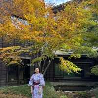 Memorable Autumn - Onsen Heaven 🍂 🍁