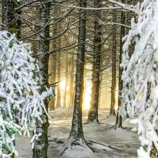 Asheville, North Carolina