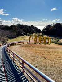 【福島　いわき：三崎公園】