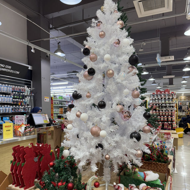 Your Christmas Adventure Starts at Mr. DIY!