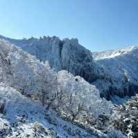 Winter Wonderland: Hiking Hallasan in Jeju’s Snowy Embrace