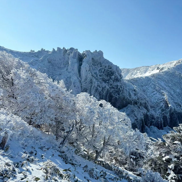 Winter Wonderland: Hiking Hallasan in Jeju’s Snowy Embrace