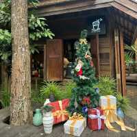 ฉำฉา 雨樹手工市集Chamcha Market 