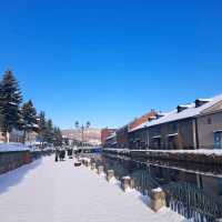 北海道旅遊✈️札幌市🚂小樽運河🏞️小樽運河廣場😍白色戀人公園📸熱門旅遊景點介紹✨