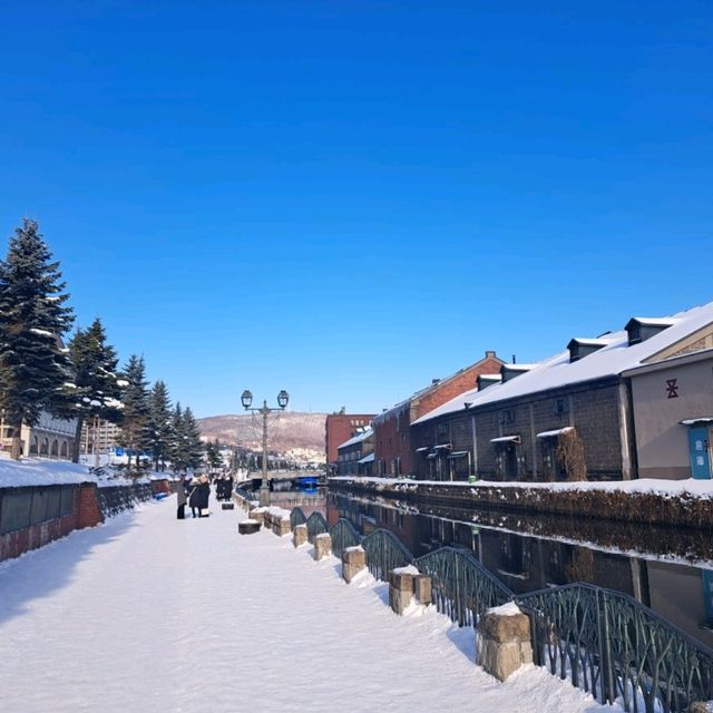 北海道旅遊✈️札幌市🚂小樽運河🏞️小樽運河廣場😍白色戀人公園📸熱門旅遊景點介紹✨