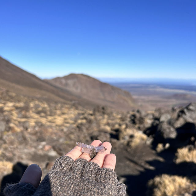 Tongariro alpine crossing amidst volcanoes - New Zealand