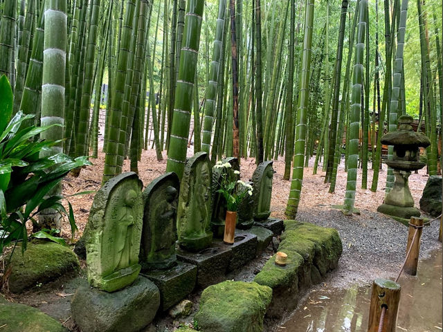 【報国寺境内】
