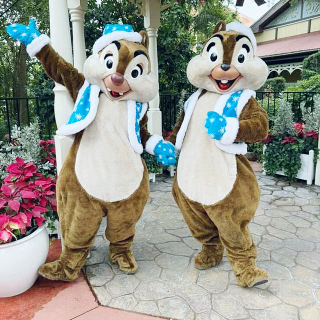 Magical Moments: Top Christmas Character Meet-and-Greets at Disney Orlando 🇺🇸