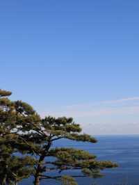 【静岡🇯🇵】写真映えの世界へ