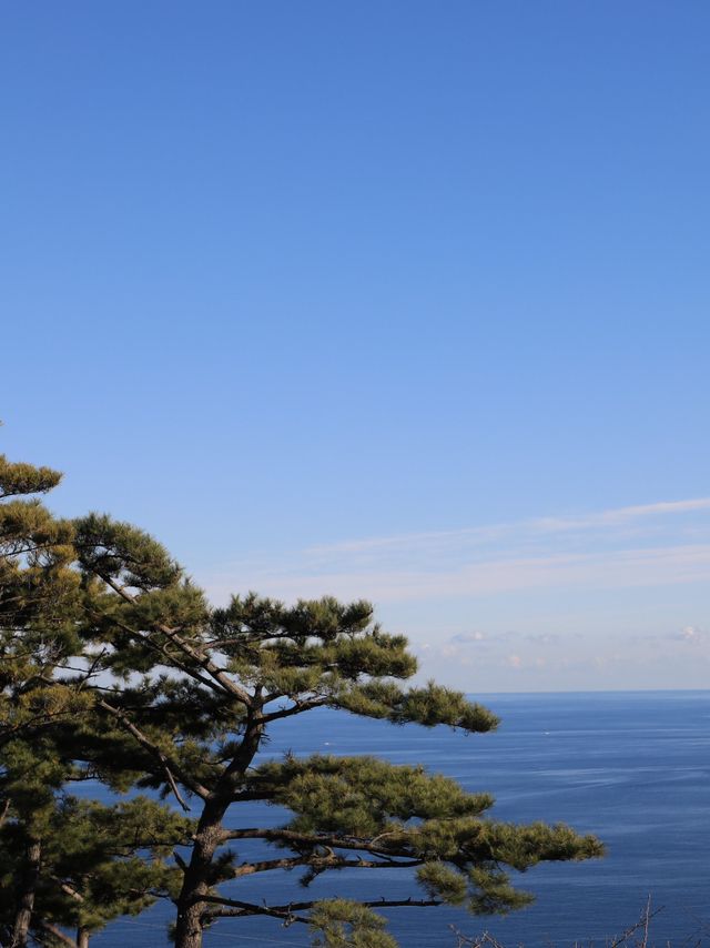 【静岡🇯🇵】写真映えの世界へ