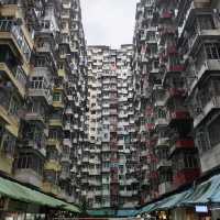 A Vibrant Journey Through Hong Kong