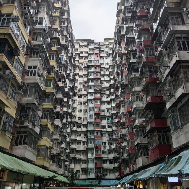 A Vibrant Journey Through Hong Kong